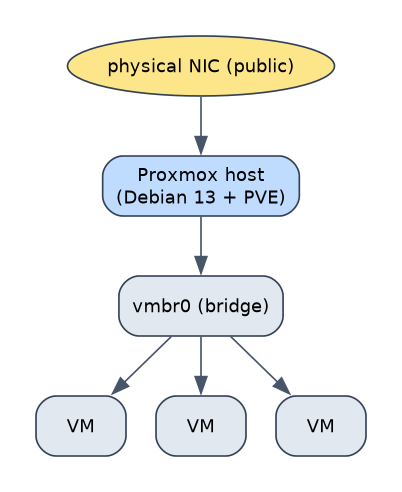 Host NIC -> Proxmox bridge -> VMs